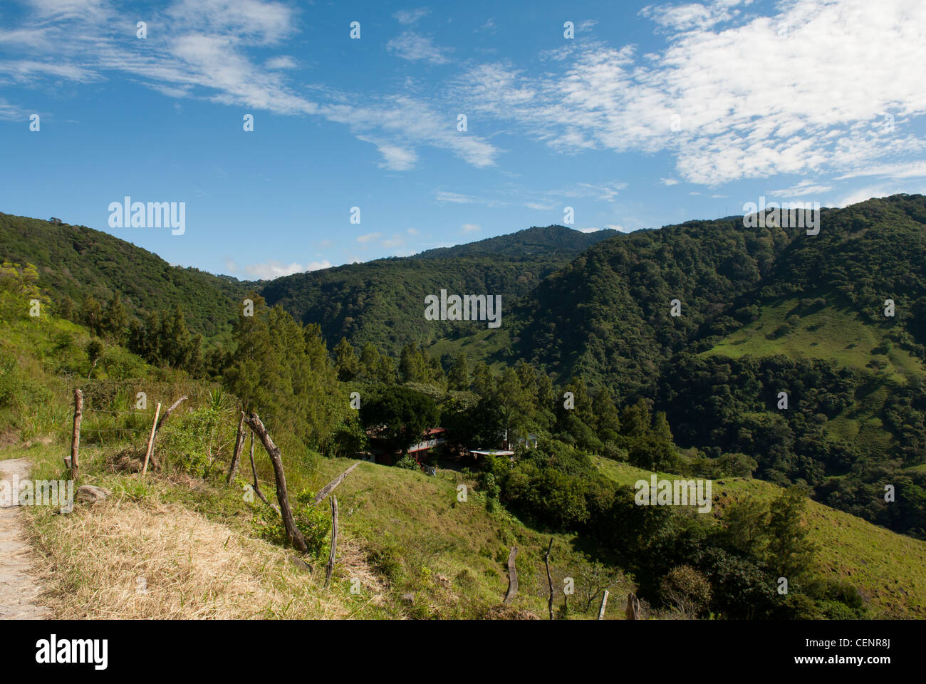 View of the Monteverde cloud forests and rainforests, Monteverde, Costa Rica. Stock Photo