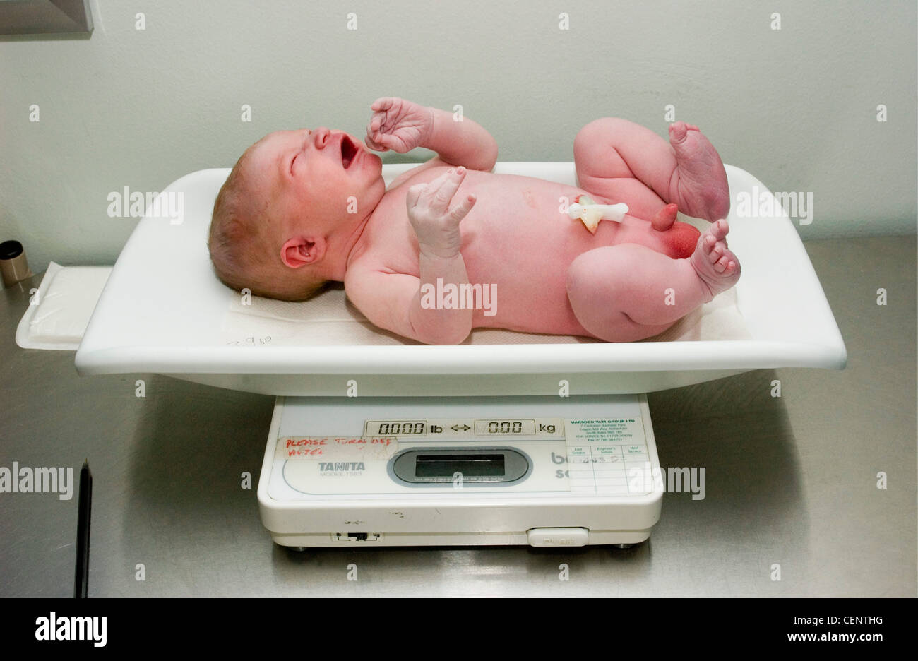 Newborn baby boy on a white scale, crying Stock Photo - Alamy