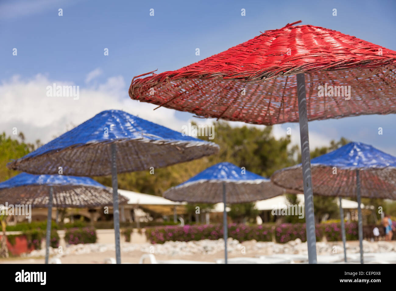 Beach umbrella made from red and blue straw closeup view Stock Photo