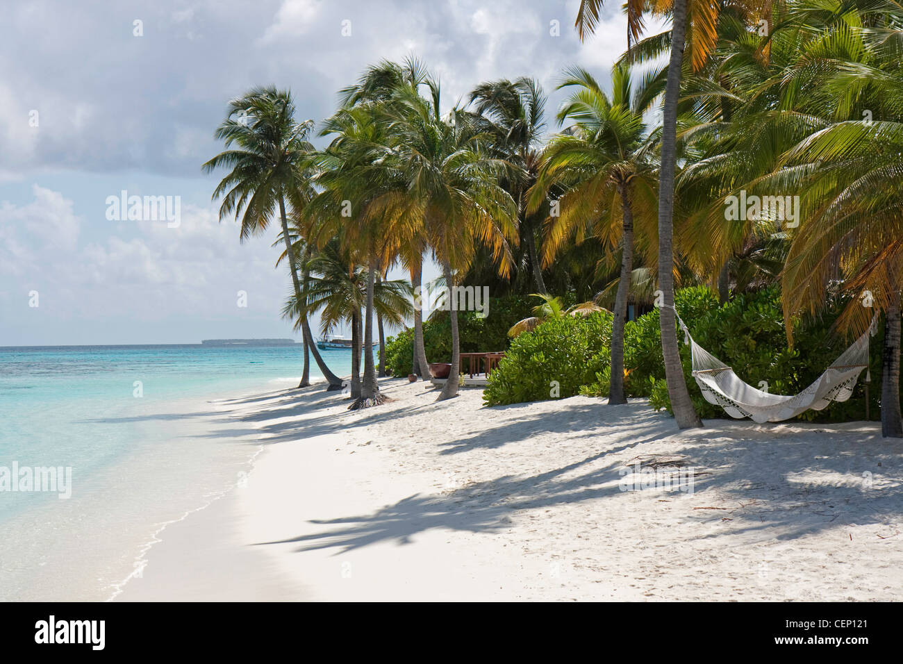 Palm Tree and a Hammock, Ari Atoll, Mirihi, Maldives Stock Photo