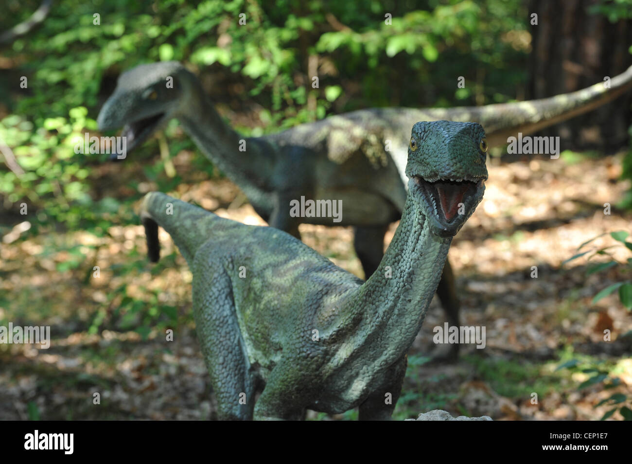 Life size statue of a velociraptors in forest scenery Stock Photo