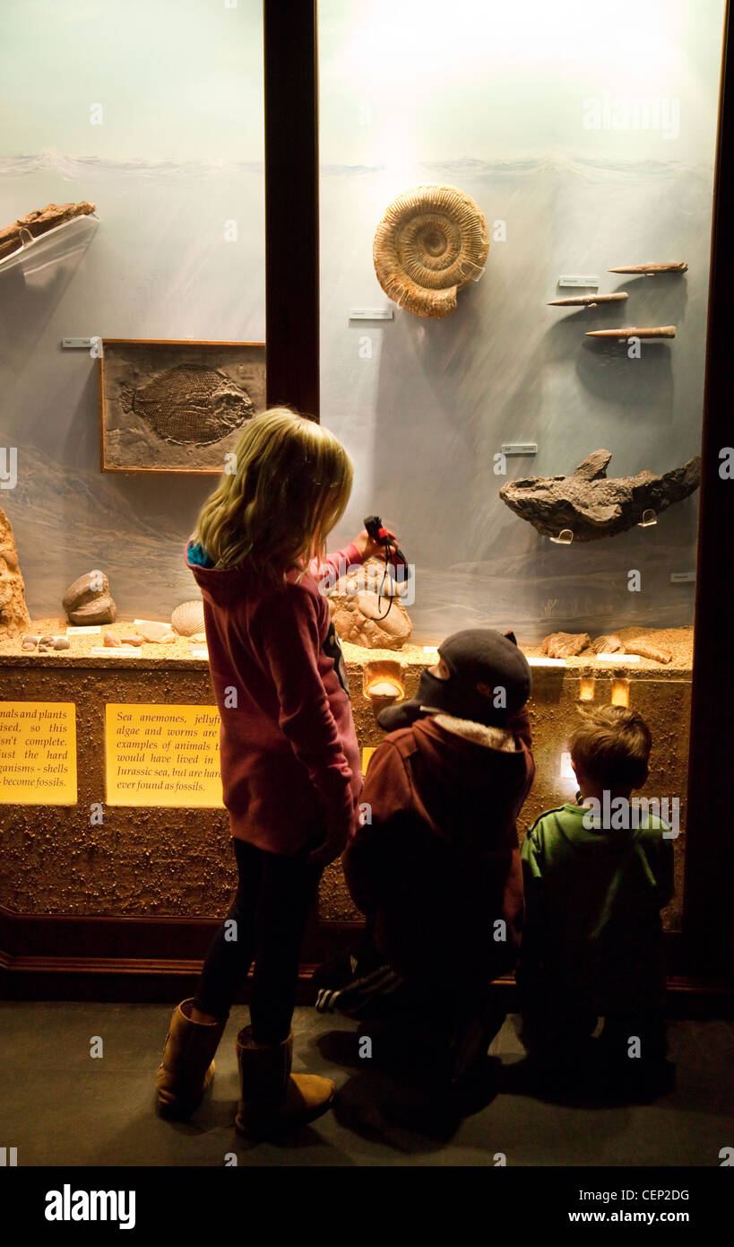 Children looking at Fossils, learning about science, Sedgwick Earth Sciences Museum, Cambridge UK Stock Photo