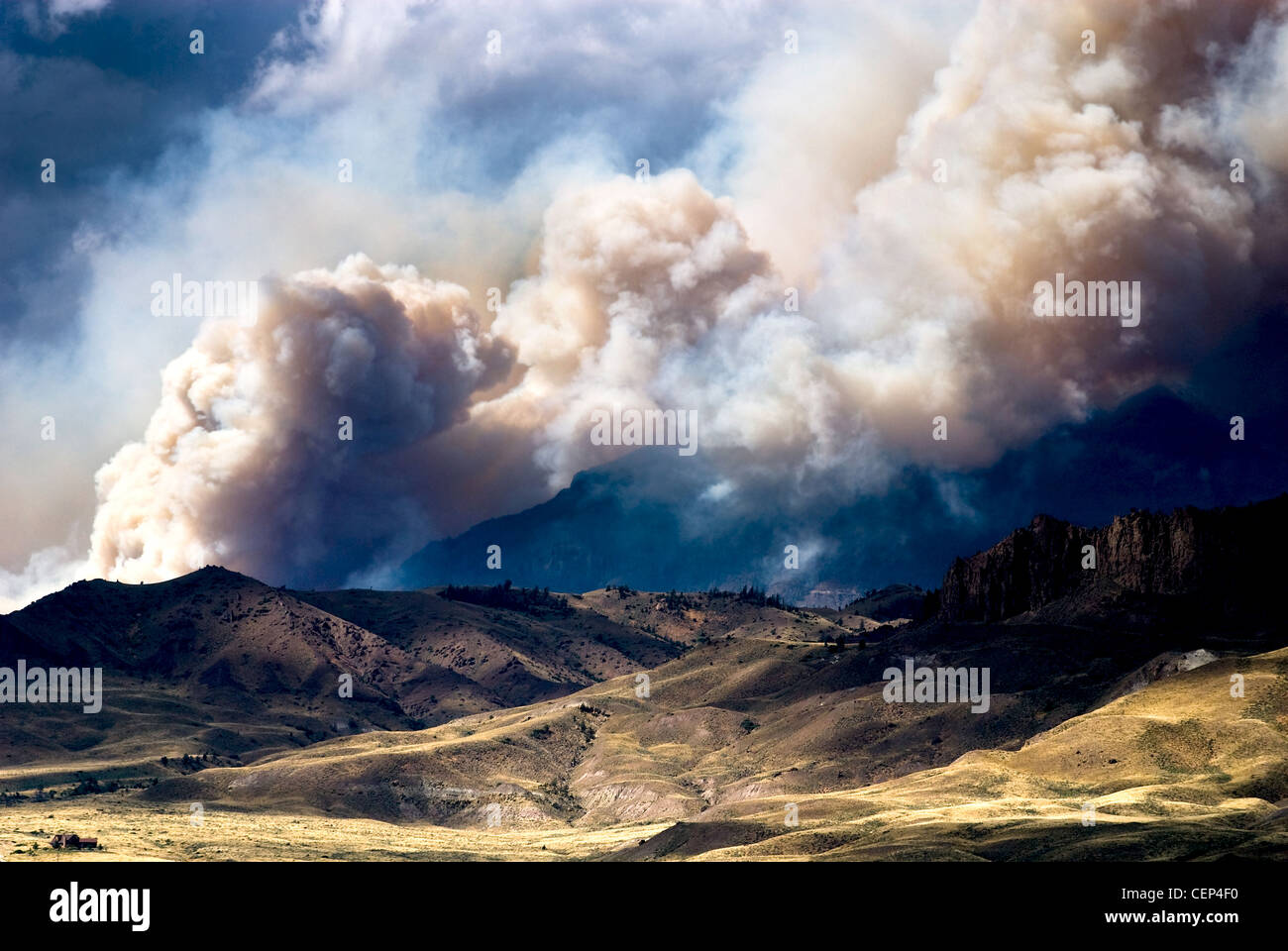 Forest fire, Cody, Wyoming Stock Photo