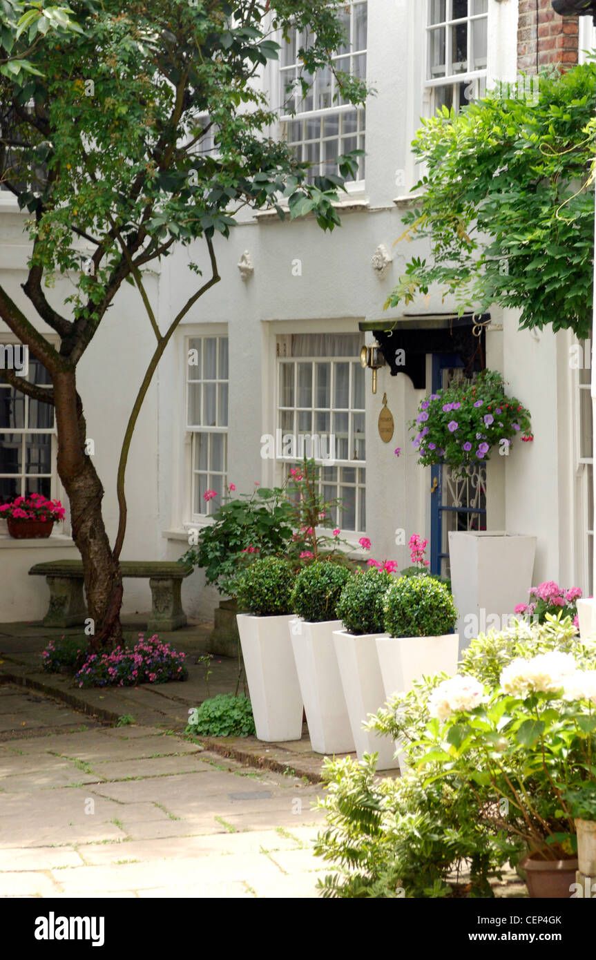 A white house with sash windows, a tree outside and four tall white planters with topiary bushes Stock Photo