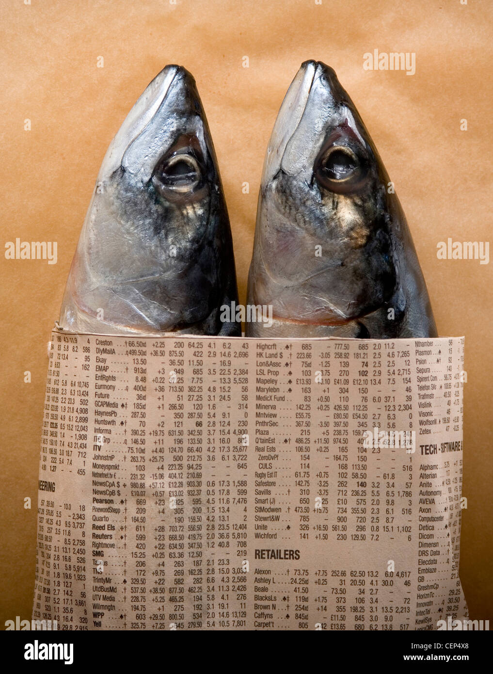 a HoroscopesPisces Two fish wrapped in newspaper Stock Photo