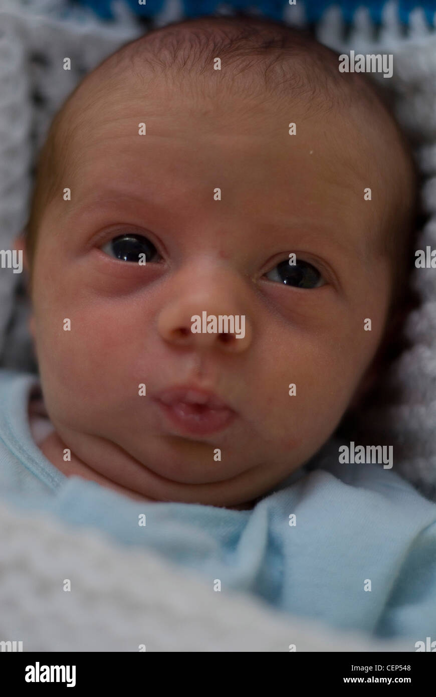 A newborn female baby dressed in a blue babygrow looking to camera with