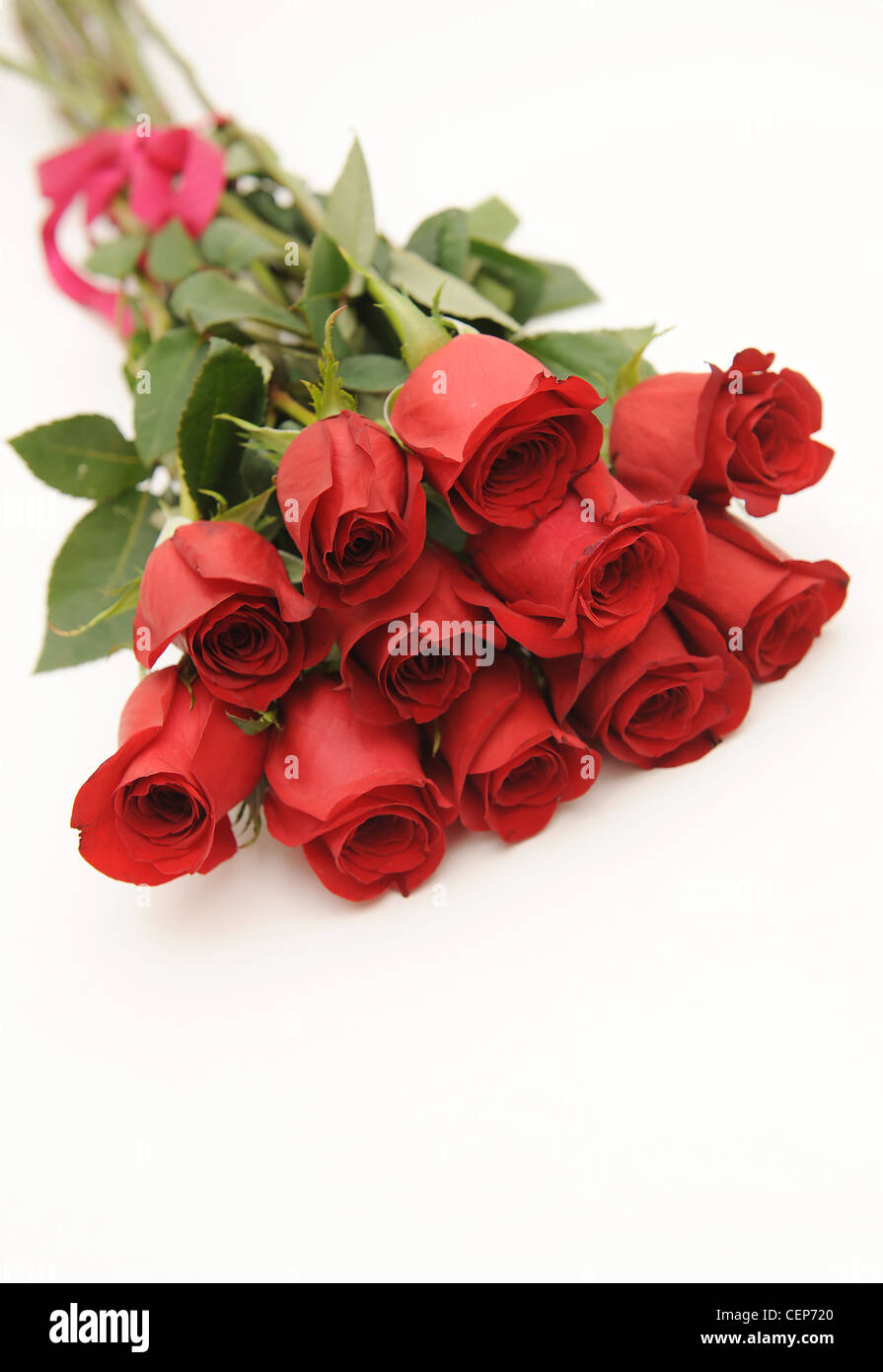 A still life image of a bunch of red roses tied with pink ribbon Stock ...