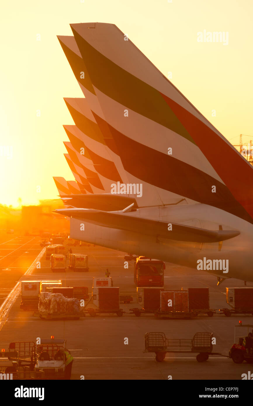 Dubai Airport, Dubai (UAE) - 23 December, 2011:  A Row of Emirates International Airlines planes with Emirates logo on the tail. Stock Photo