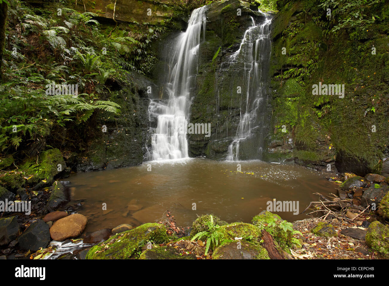 Horseshoe Falls, Matai Falls, Catlins, South Otago, South Island, New Zealand Stock Photo