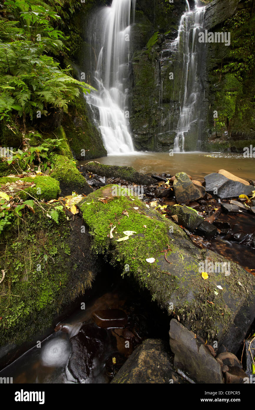 Horseshoe Falls, Matai Falls, Catlins, South Otago, South Island, New Zealand Stock Photo