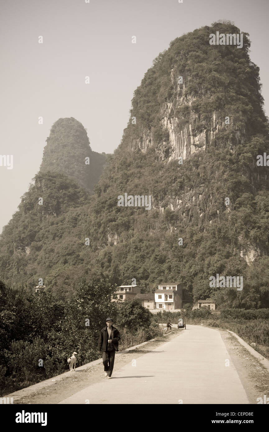 Man Walking Down Road With Dog Stock Photo