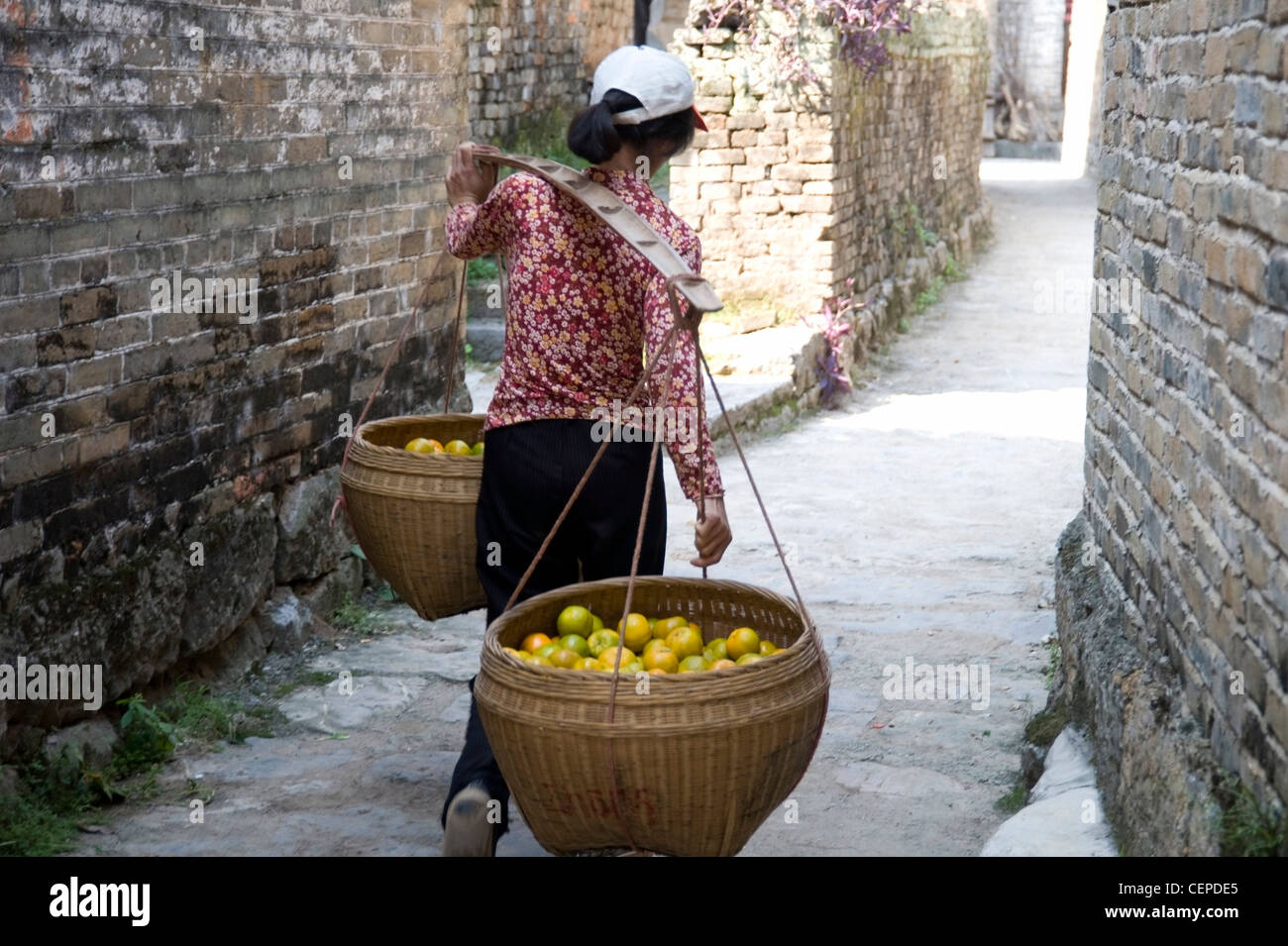 Woman Carrying Citrus Fruit In Baskets; Guangxi Zhuang,China Stock