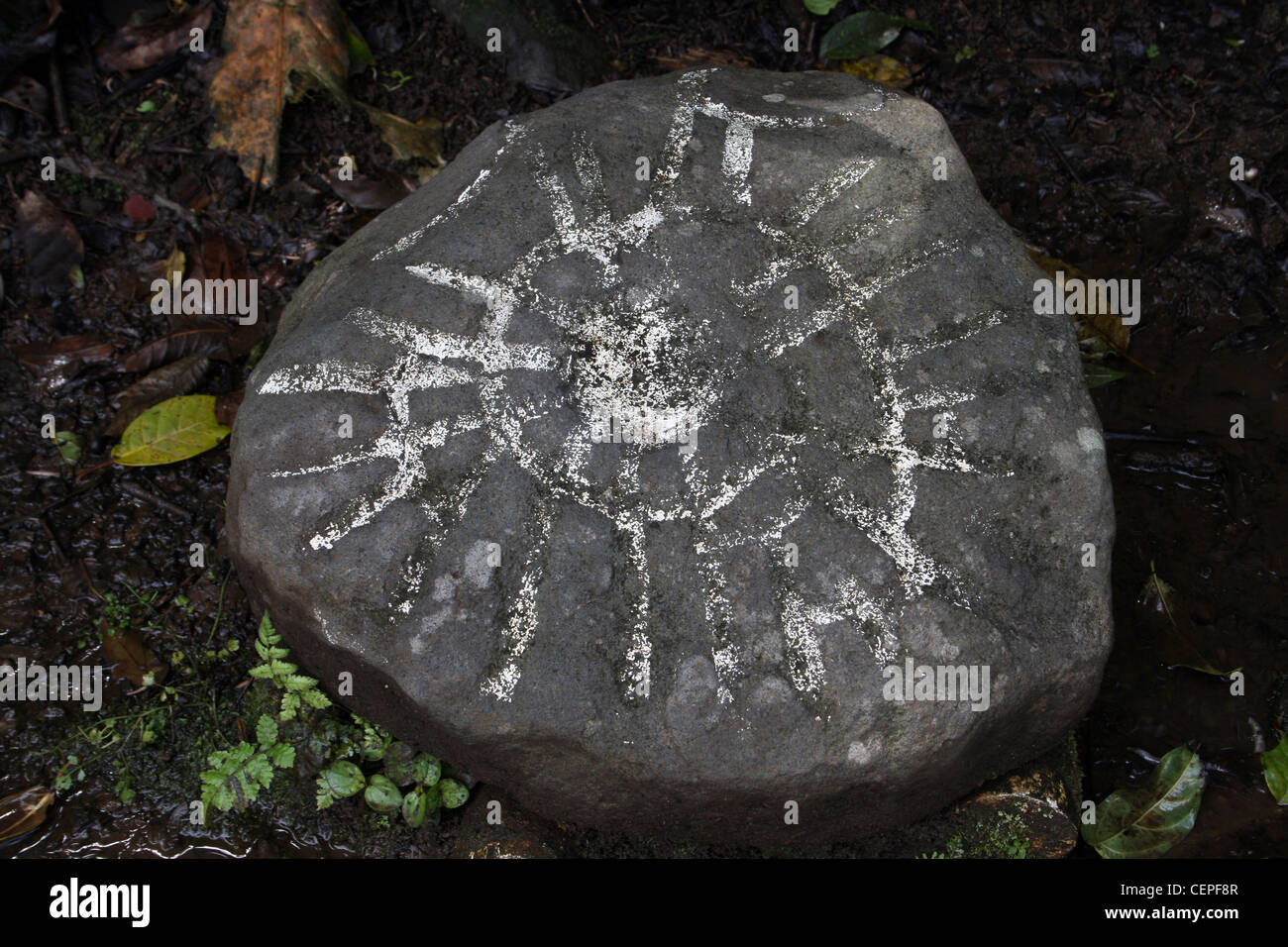 Sky Map Petroglyph Stone At Guayabo Archaeological Site, Costa Rica Stock Photo