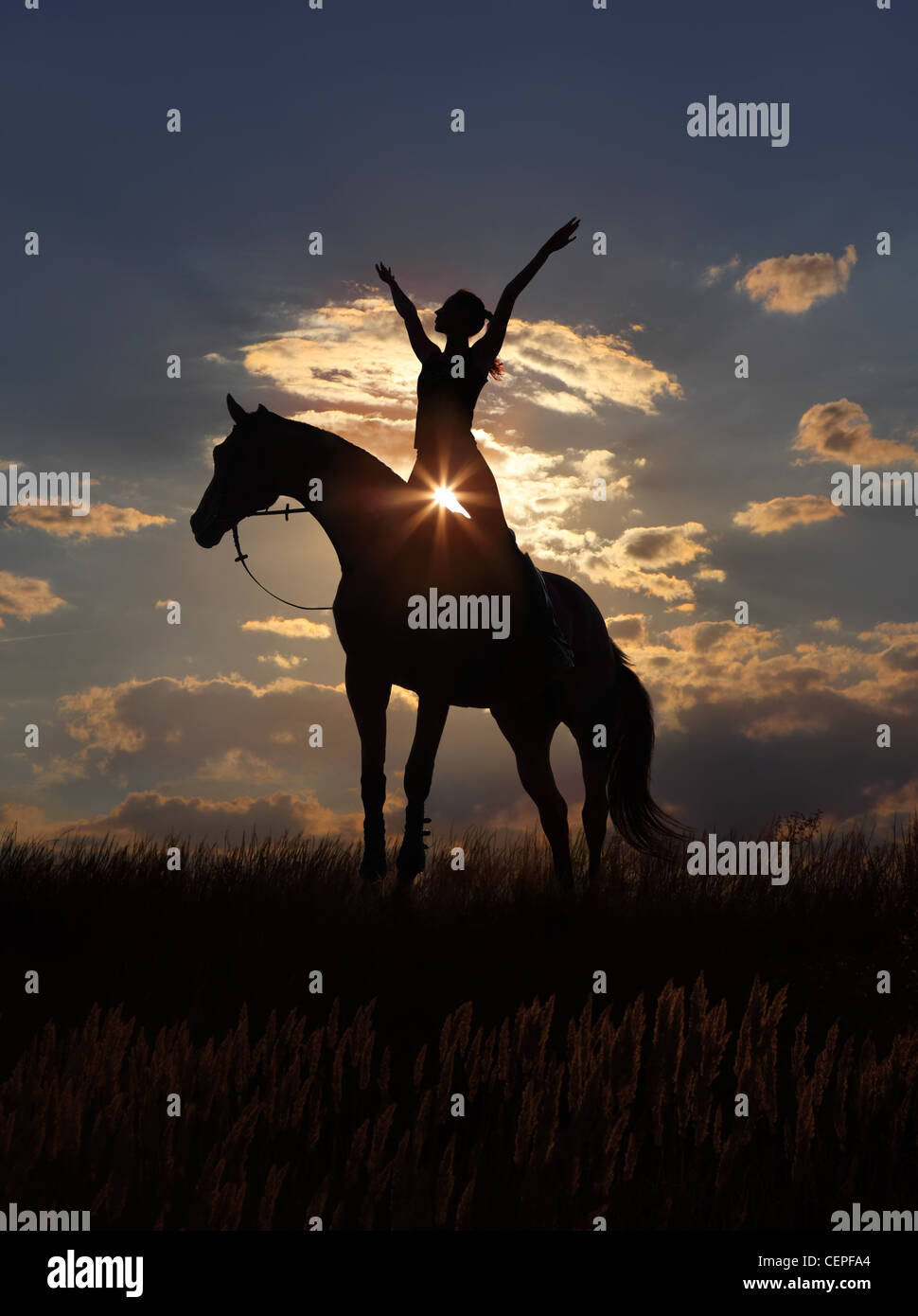 Horse And Rider Silhouette Sunset