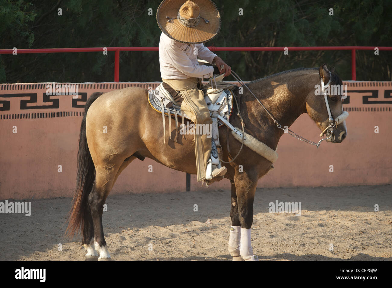 Mexican charros horseman, San Antonio, TX, US Stock Photo