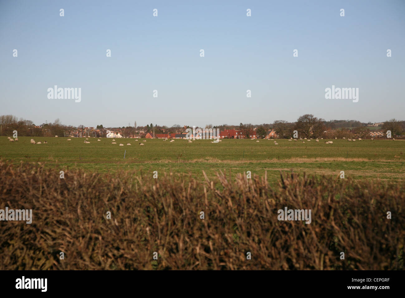 looking across fields towards hathern a village in leicestershire Stock Photo