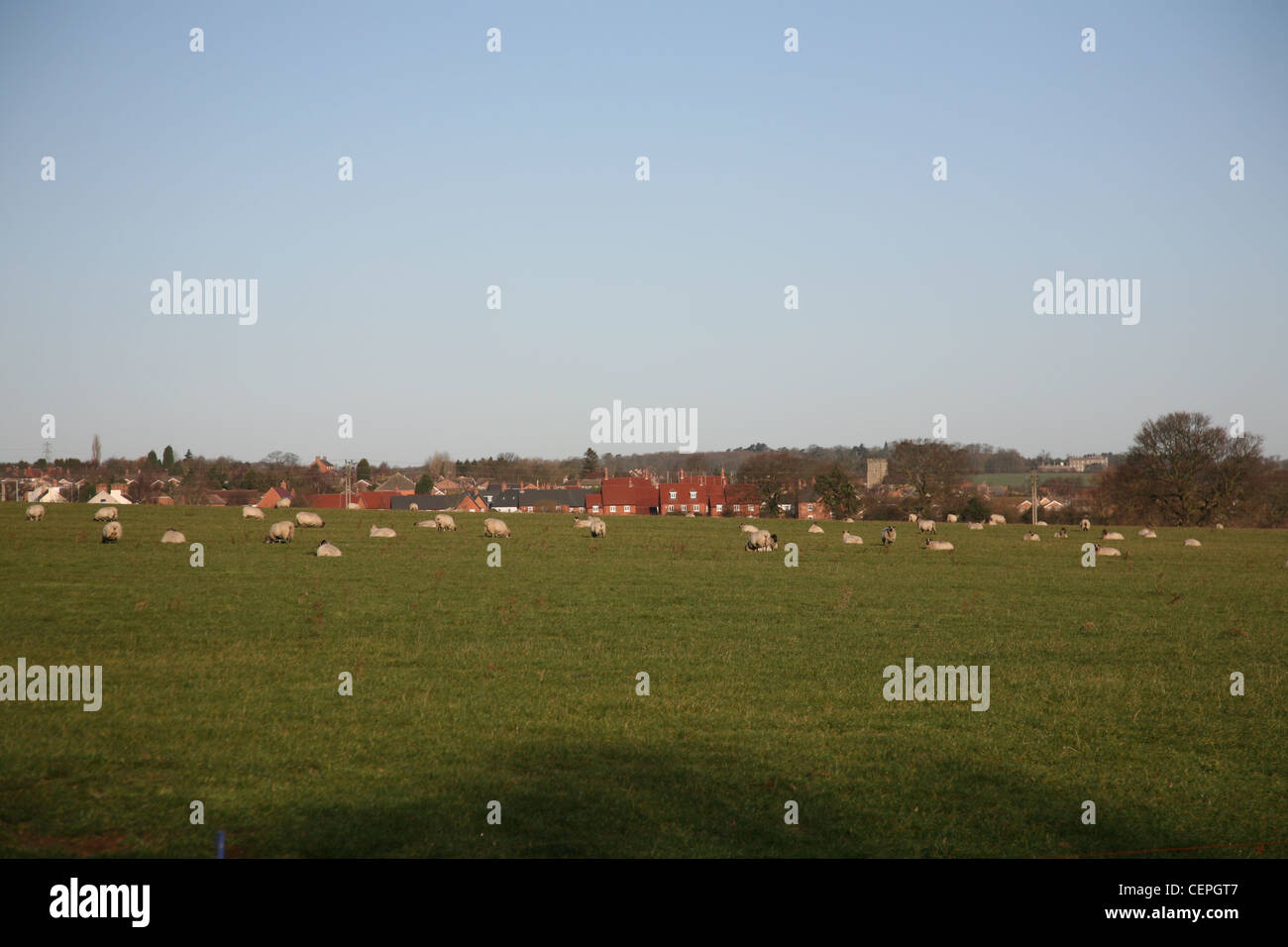 looking across fields towards hathern a village in leicestershire Stock Photo