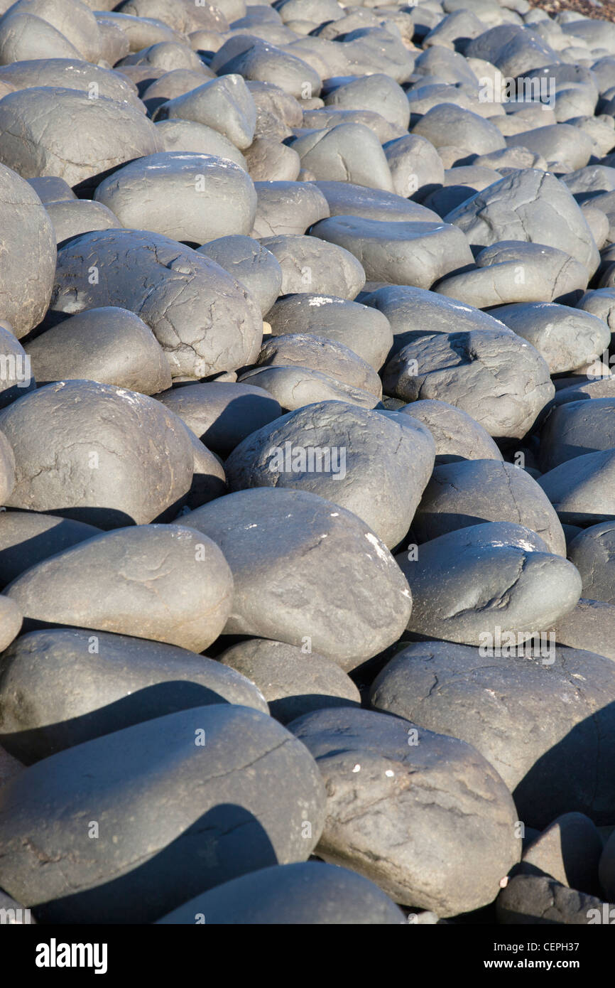 grey rocks on the ground; northumberland, england Stock Photo - Alamy