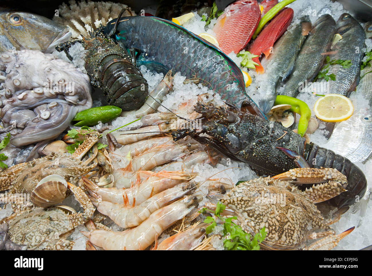 Seafood restaurant display of fish and prawns hi-res stock photography and  images - Alamy