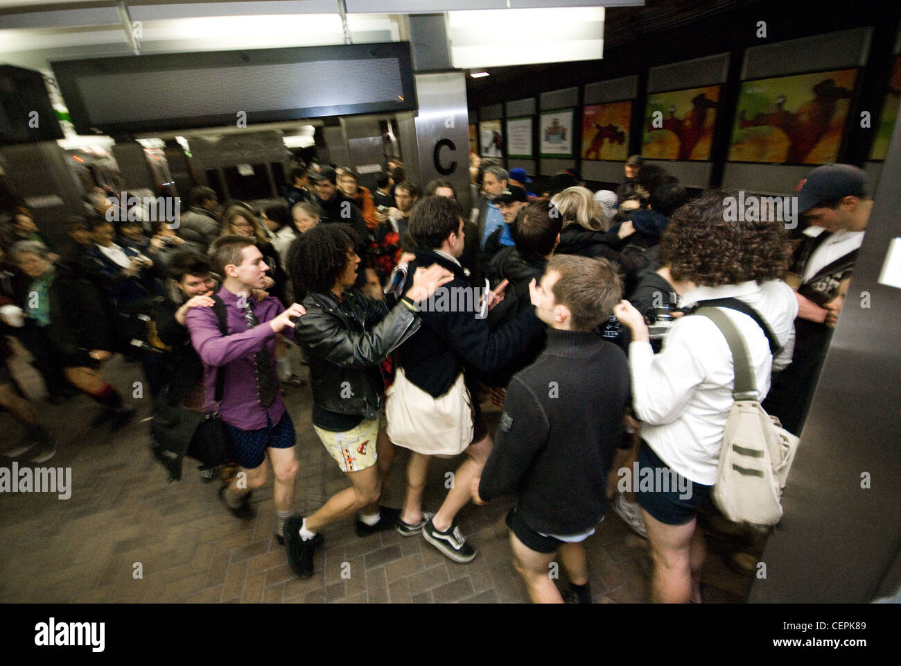 Boston No Pants Subway Ride Stock Photo