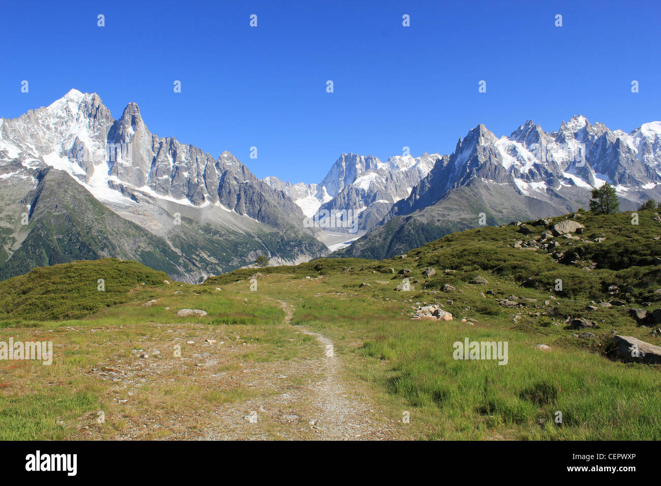 View of the MontBlanc massif from a small path in the mountain, France