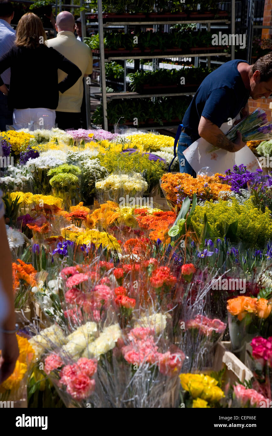 Bunches of flowers for sale at Columbia Road flower market held every