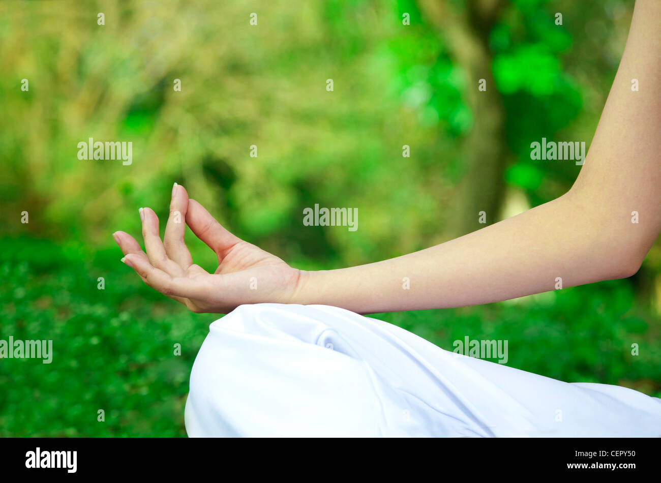 Closeup of woman hands in yoga pose Stock Photo - Alamy