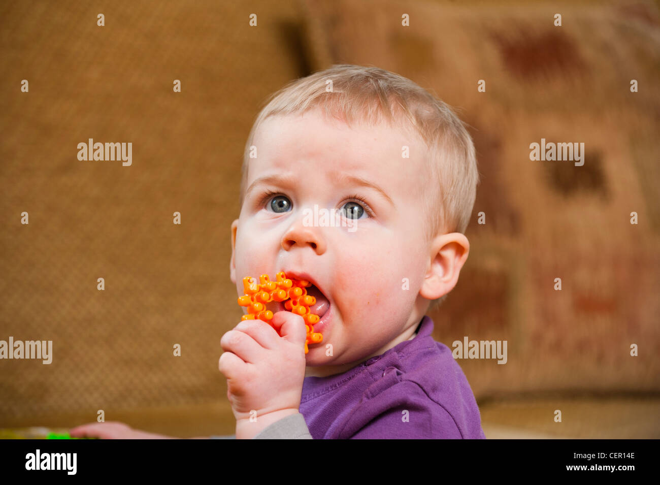 One year old baby boy with building brick in mouth Stock Photo