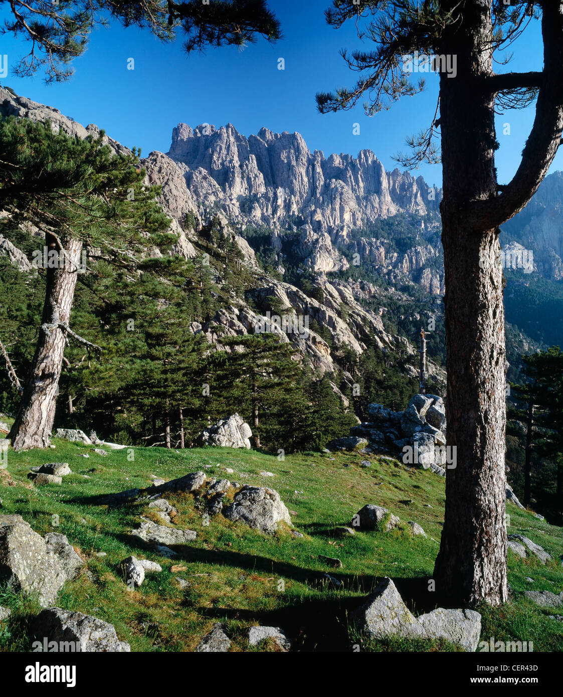 The Aiguilles de Bavella viewed from Col de Bavella, Corse du Sud, Corsica. Stock Photo