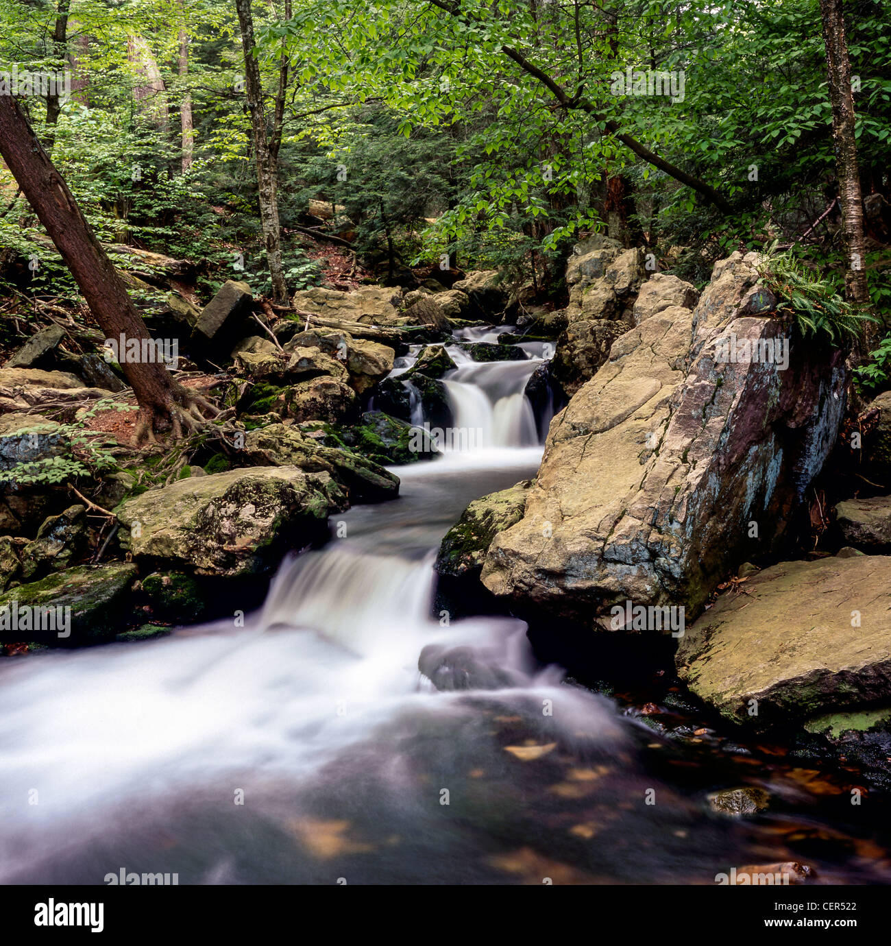 Spring In Nh New Hampshire stream with small waterfall in the spring Stock Photo - Alamy