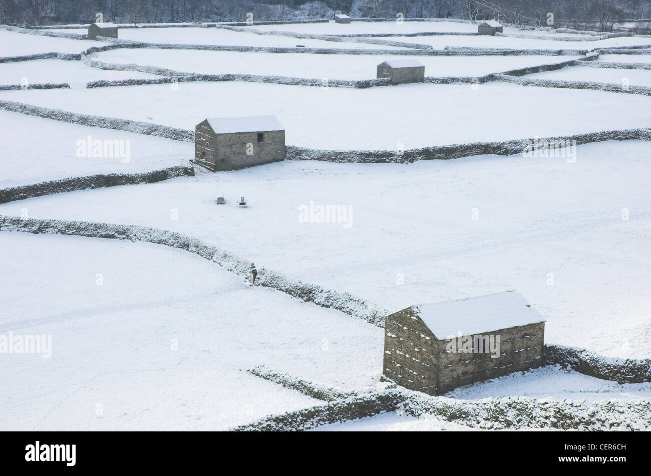 Looking over snow covered dry stone walls and barns at fields in Swaledale. Stock Photo