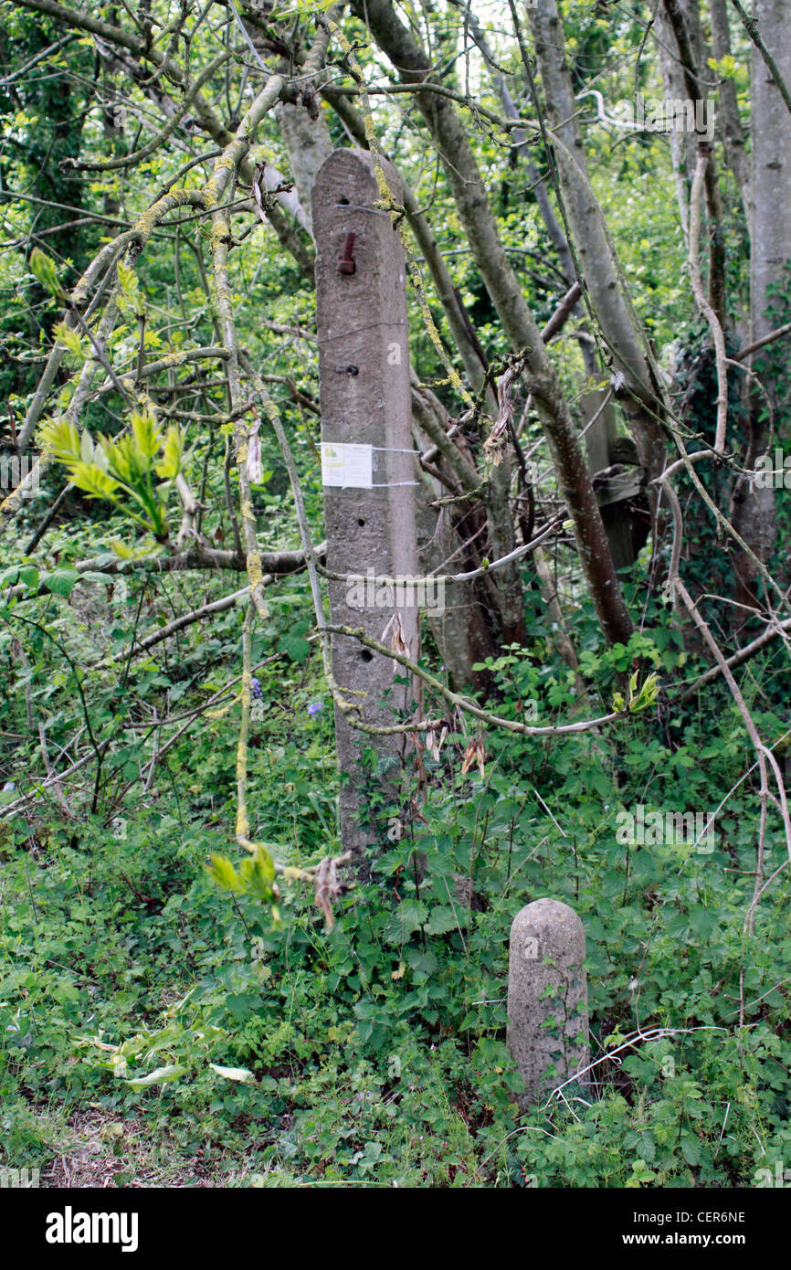 Concrete fence posts hi-res stock photography and images - Alamy