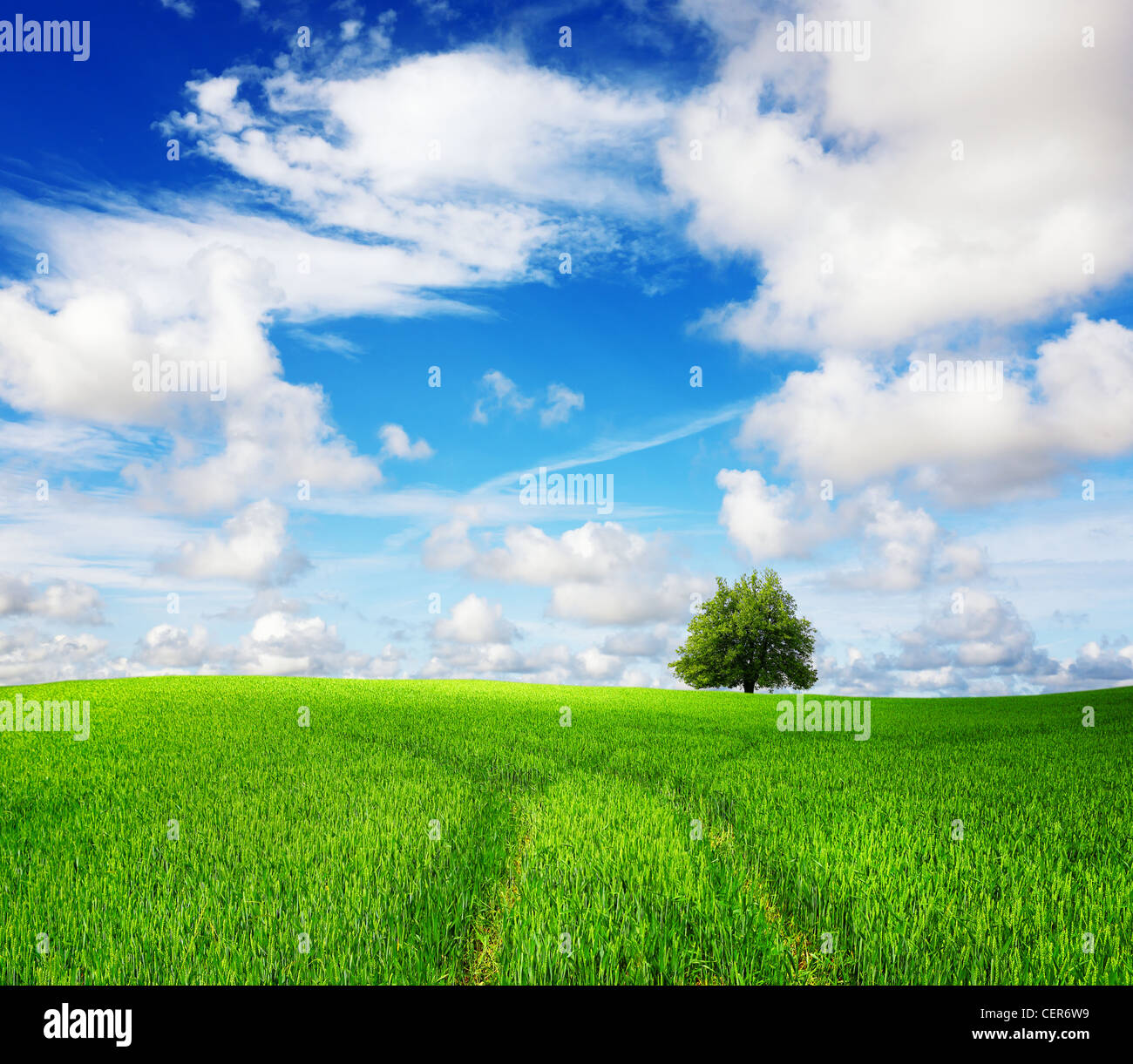 Green field and tree Stock Photo - Alamy