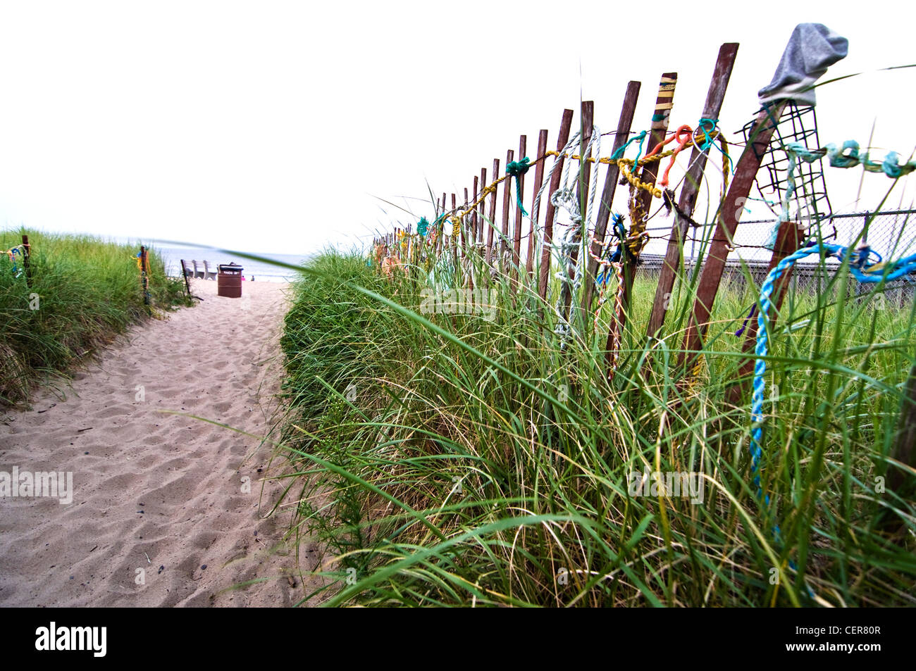 sandy dune on the ocean coast in Maine, USA Stock Photo