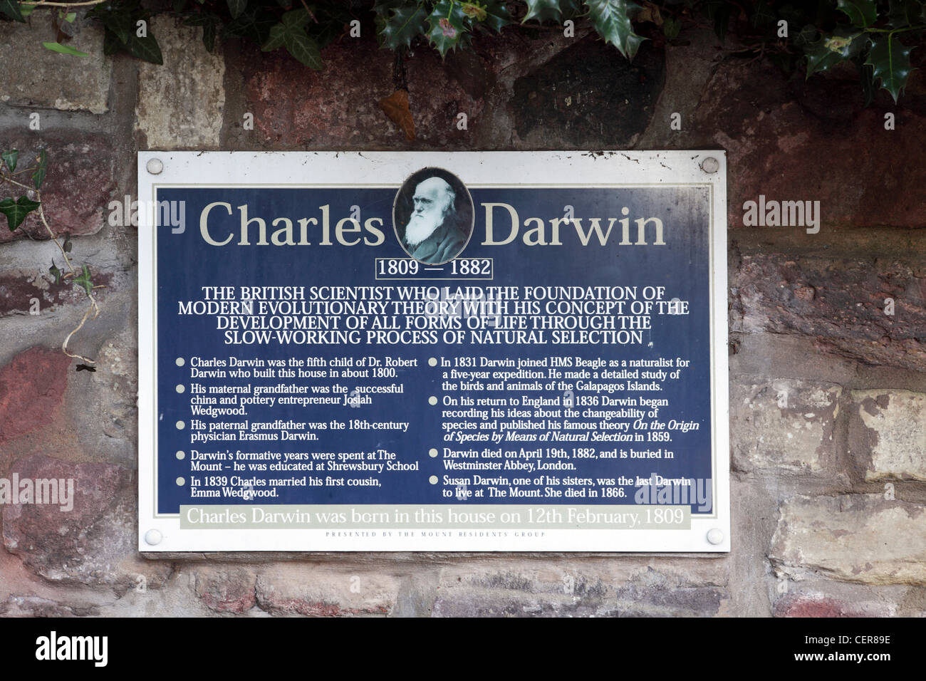 One of (7) images related to The Mount, birthplace of Charles Darwin. Both internal and external images apply in photographer's library at this site. Stock Photo