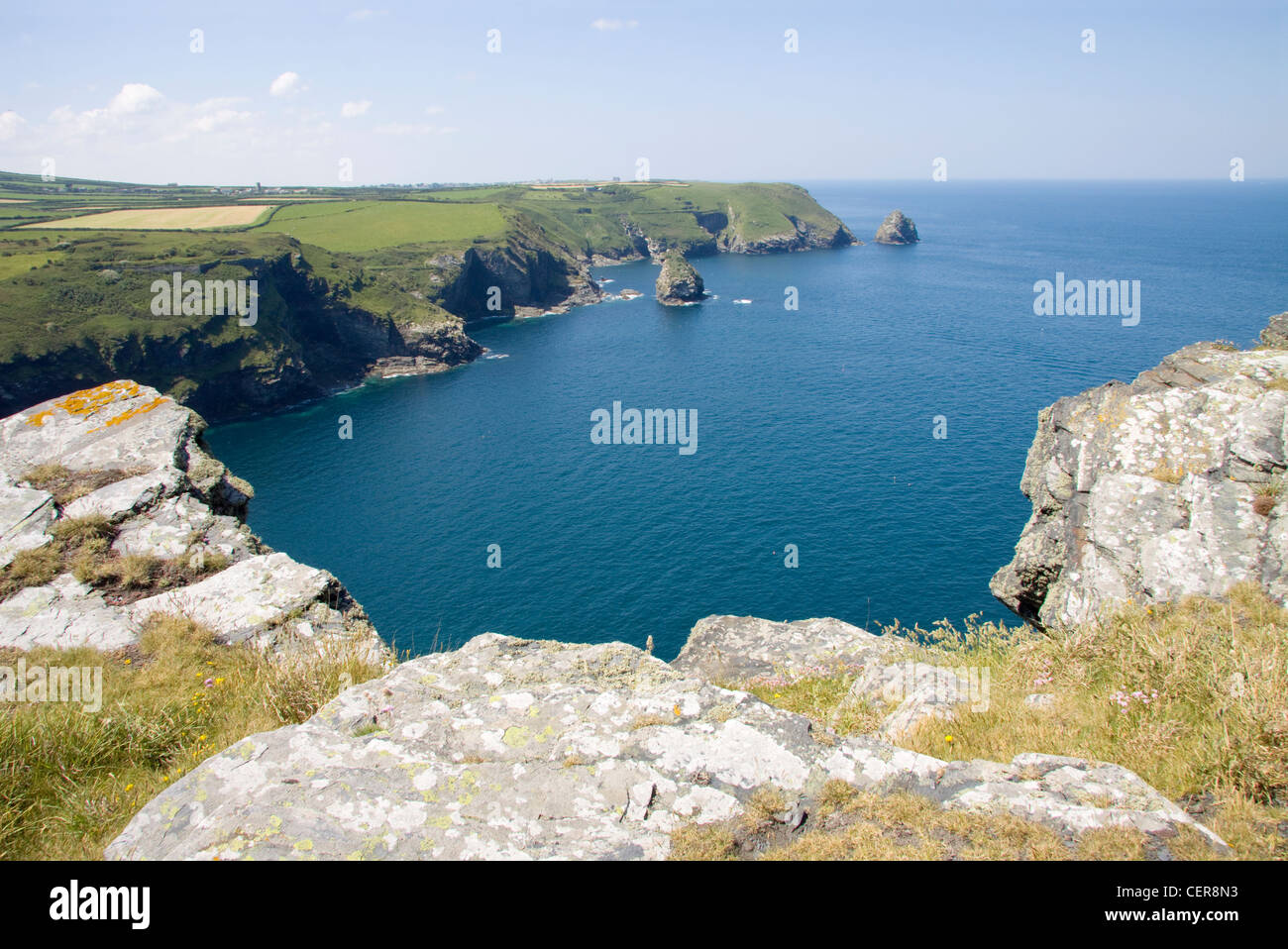 A clifftop view of the North Cornwall coastline between Boscastle and Trevalga. Stock Photo