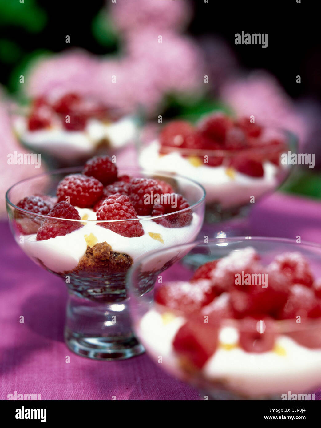 Raspberry and Ginger Sundaes This is an easy dessert to make, yet it tastes really good Spicy ginger, sweet raspberries and Stock Photo