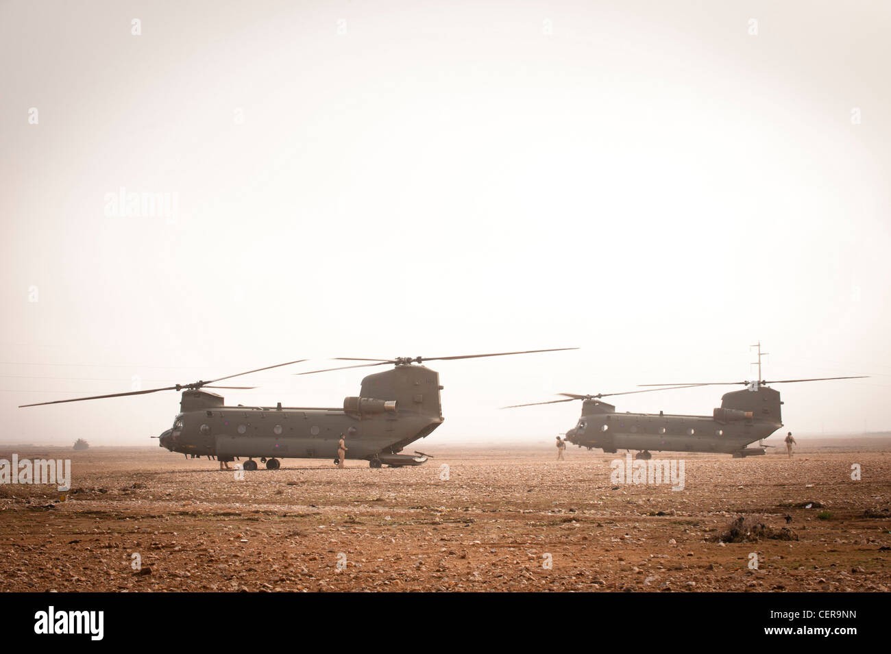 RAF Chinook helicopters on maneuvers in Moroccan desert, training for deployment to Afghanistan. Stock Photo