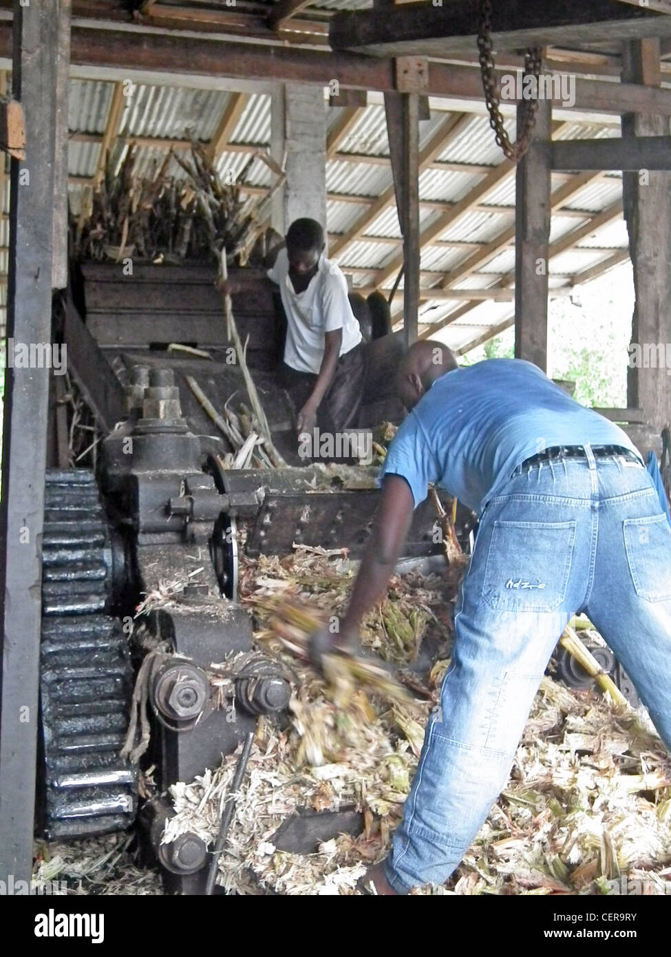 Sugar cane grenada hires stock photography and images Alamy