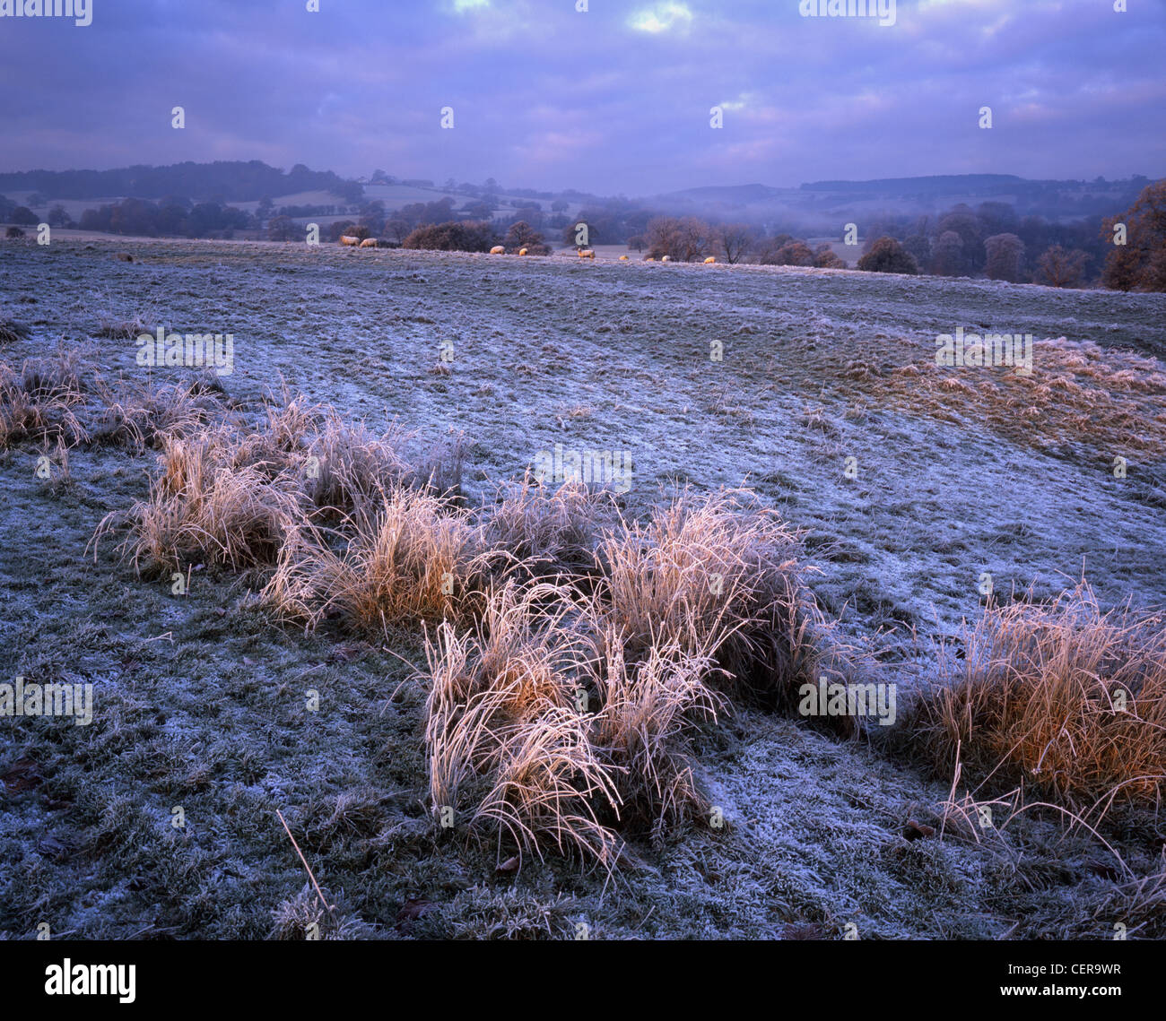 A frosty dawn looking towards Whalley Nab. Whalley is situated in the Ribble Valley and is one of Britain's most attractive and Stock Photo