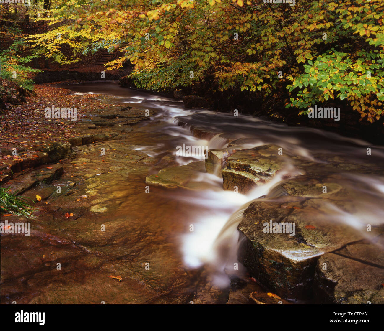 The River Roddlesworth tumbles over rock shelves before entering the reservoir. The River Roddlesworth is also known as Rocky Br Stock Photo