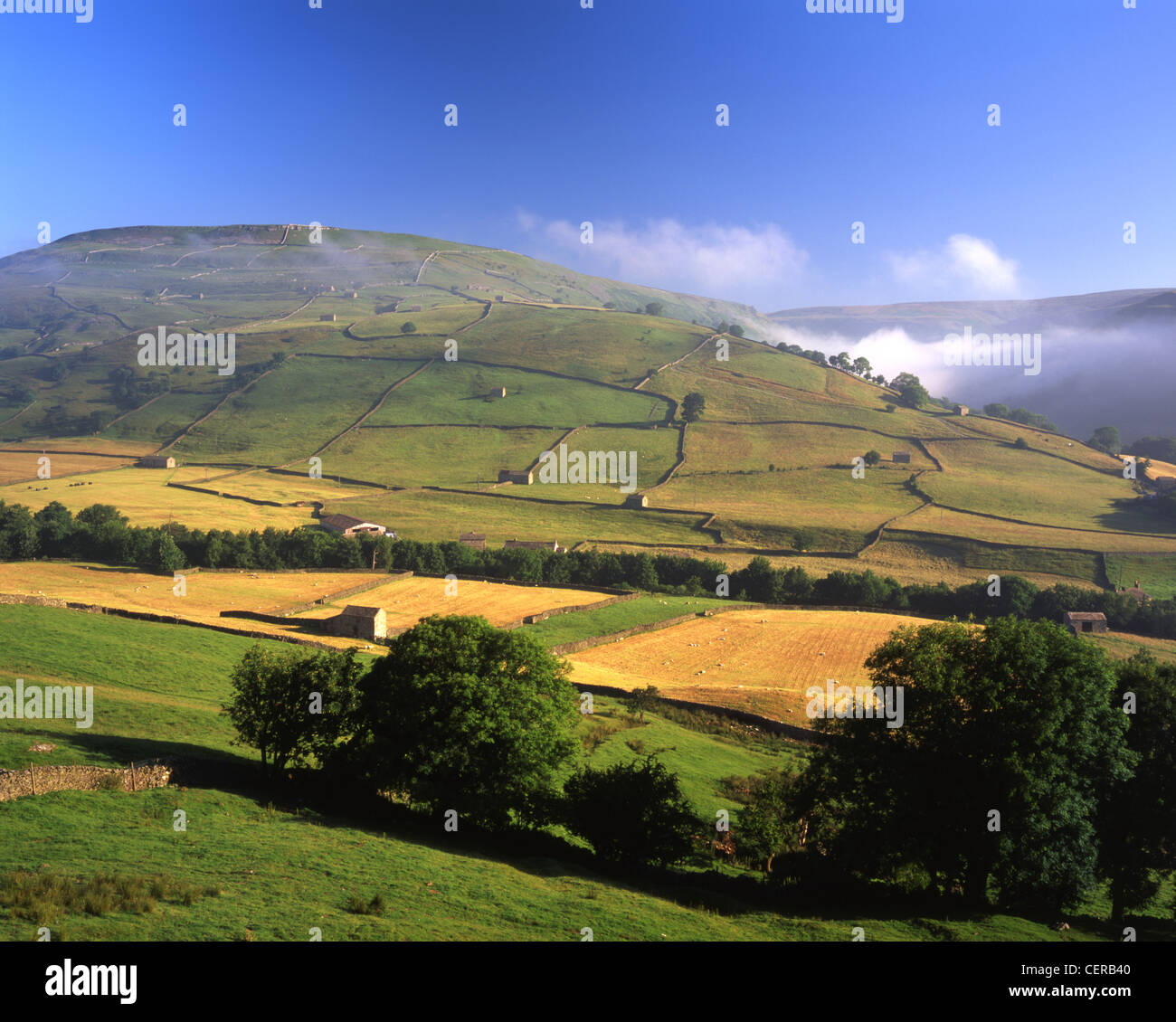 Kisdon Hill in Swaledale. From above Muker there are great views of the patchwork of meadows and barns of upper Swaledale and th Stock Photo