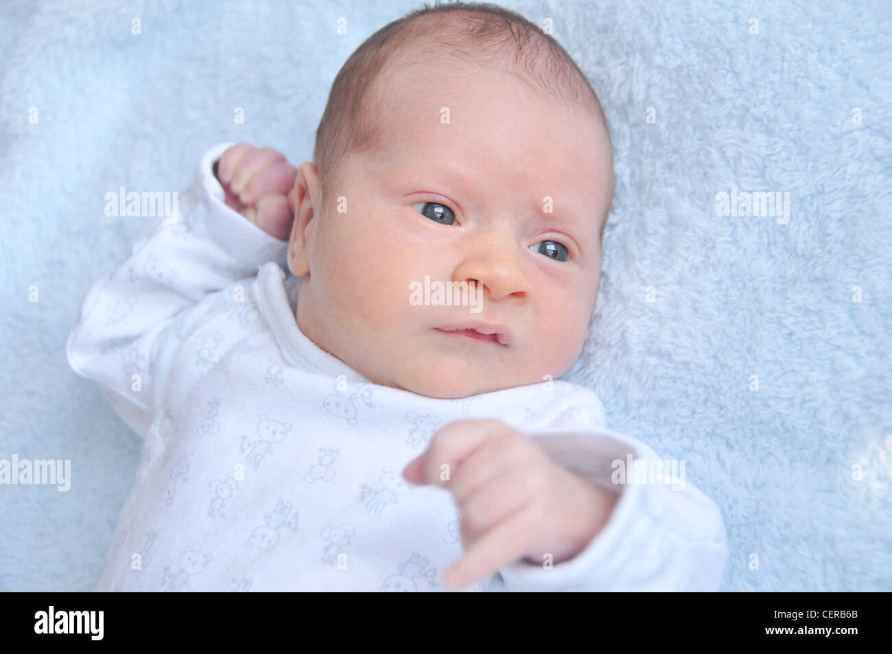 Newborn baby boy in blue Stock Photo Alamy