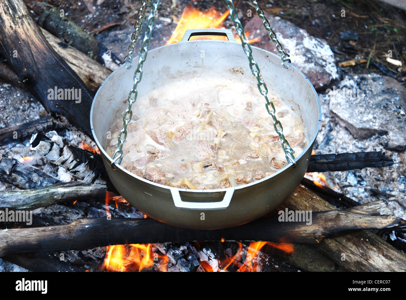 dish,pot,food,bowl,fire,flame,cooking,forest,wood Stock Photo