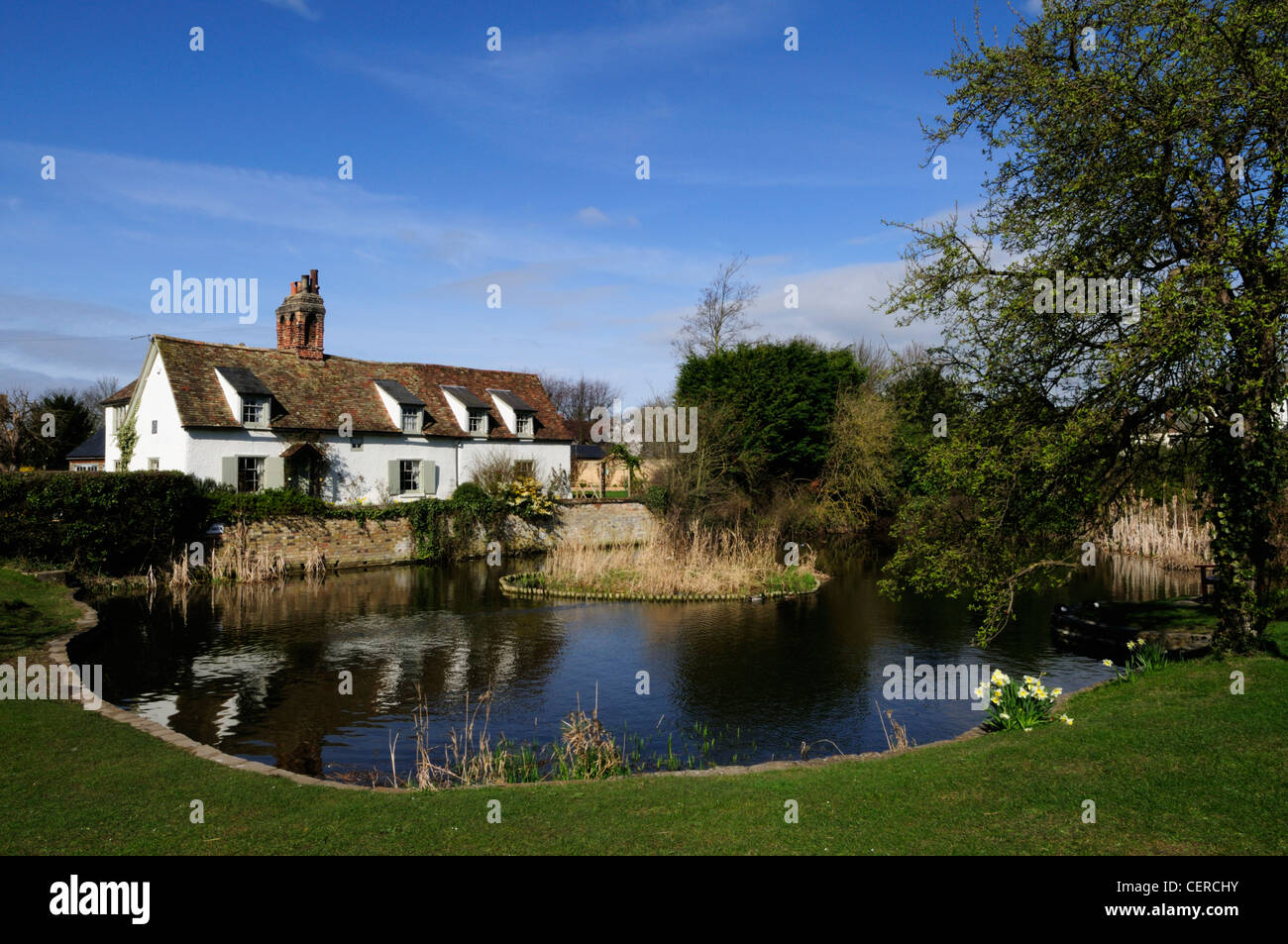 A duckpond in the historic rural village of Comberton. Stock Photo