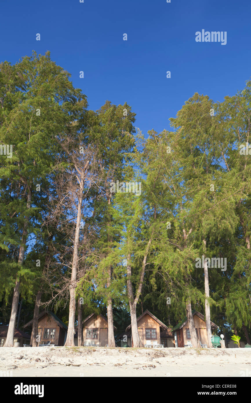 Bungalow resort under casuarina trees, Ko Lipe island, Thailand Stock ...