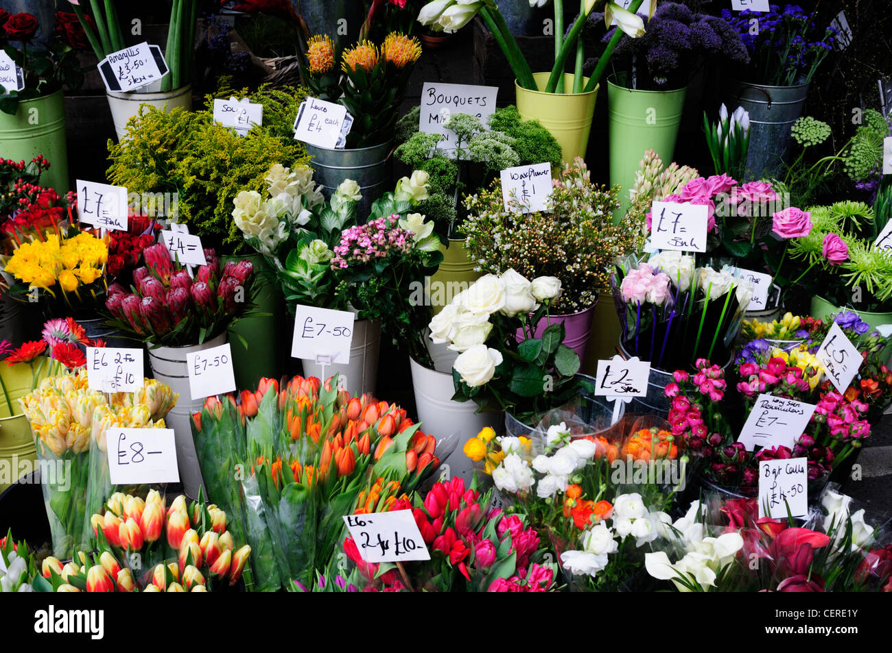 Flowers for sale from a florists stall at Borough market. Stock Photo