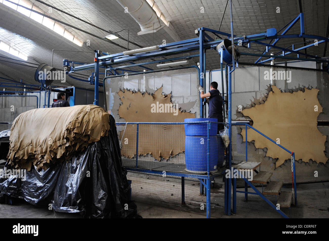 URUGUAY tannery Bader production of leather from cow skin for car seats of BMW, tension leather section Stock Photo