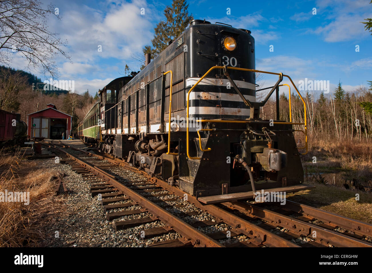 An old diesel locomotive run by the Lake Whatcom Railway out of Wickersham, Washington, USA. Stock Photo