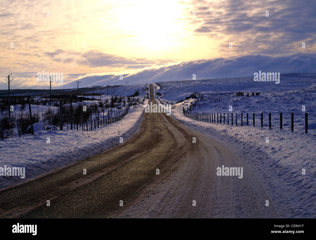 A winter scene at Aviemore Stock Photo Alamy